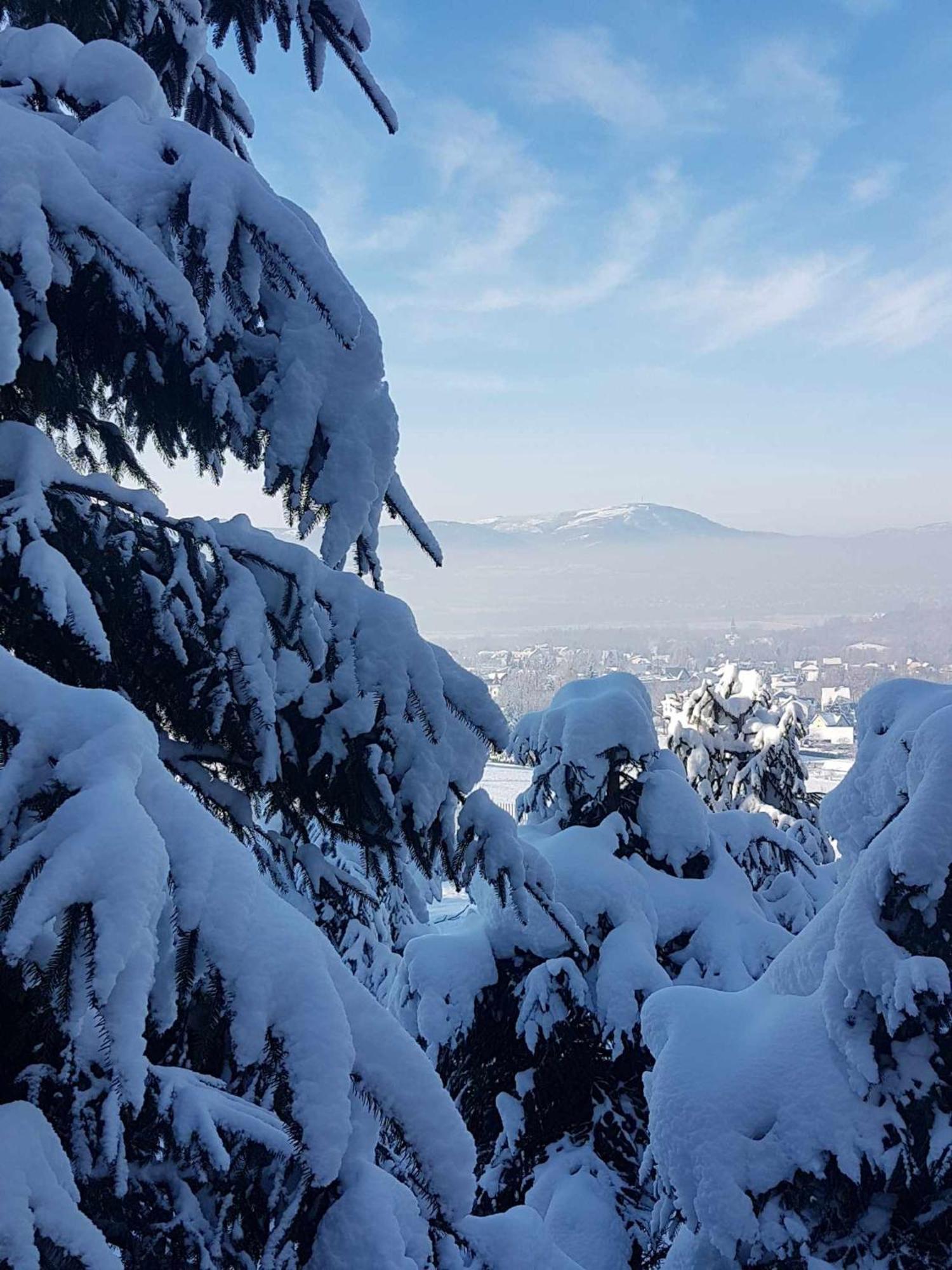 Swierkowy Zakatek U Bacy Wieprz  Exterior foto